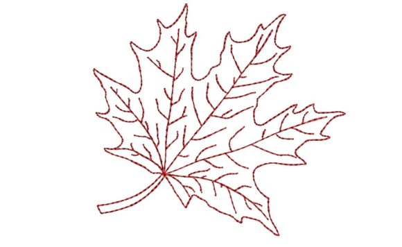 Maple Leaf Embroidery Design Review