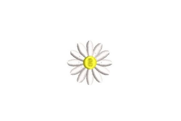 Mini Daisy Flower Review